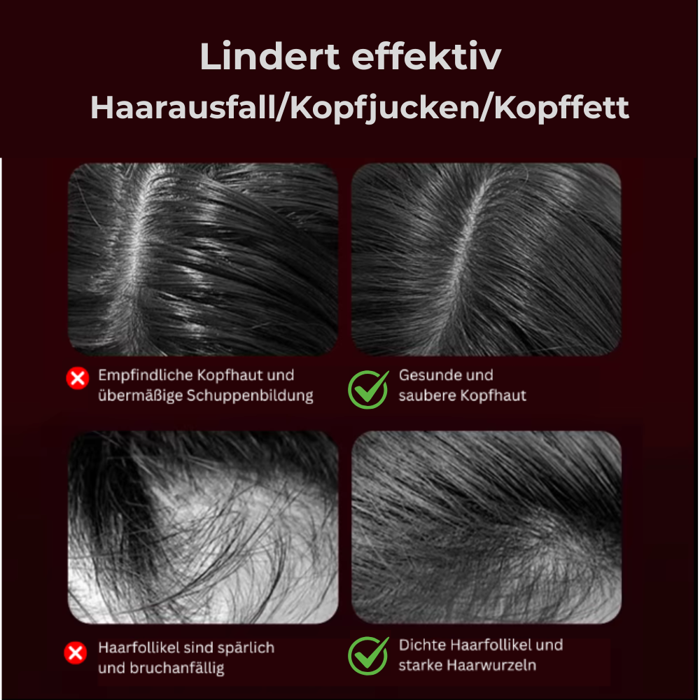 HairVital elektrische Haarbürste mit Rotlicht & Öl-Einwirkung – wirksame Haarpflege Innovation