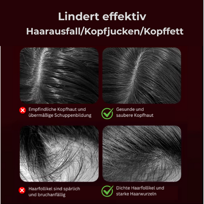 HairVital elektrische Haarbürste mit Rotlicht & Öl-Einwirkung – wirksame Haarpflege Innovation